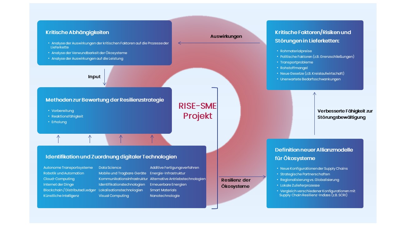 Fraunhofer IML Aufbau des RISE-SME Projekts